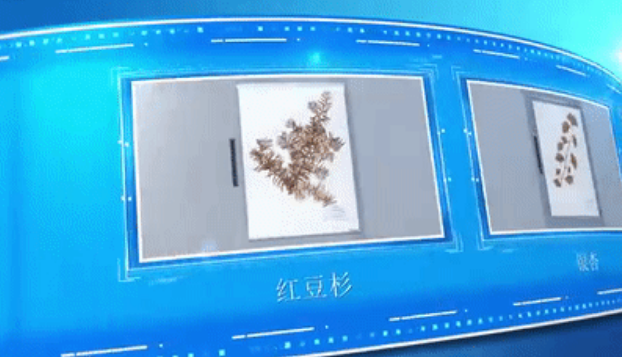 微信截图_20230707102906.png