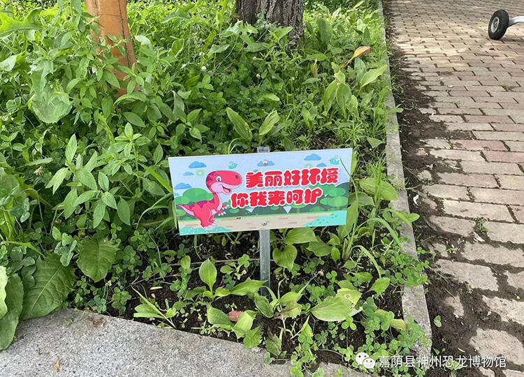 微信图片_20230803094839_1.jpg