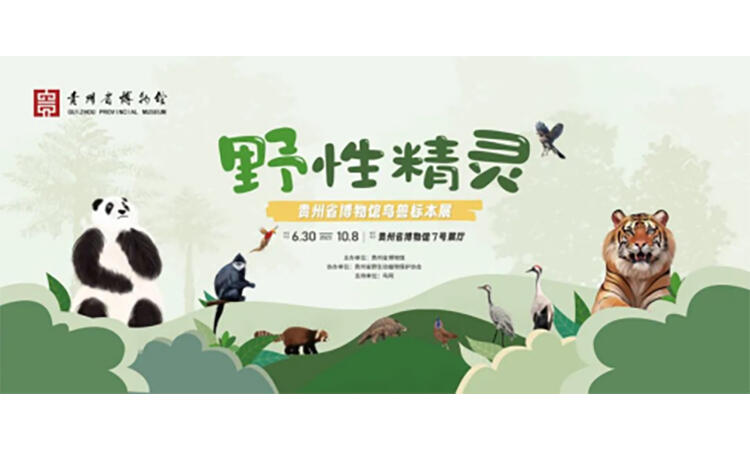 微信图片_20230808092945_2.jpg