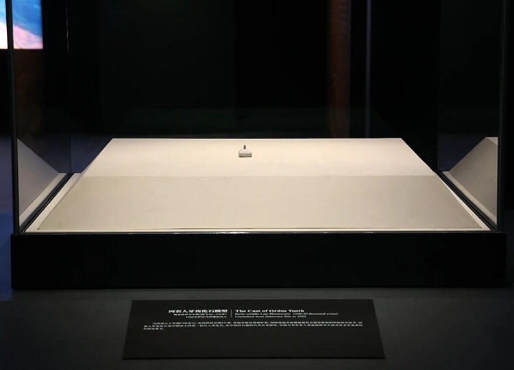 微信图片_20230817102003_1.jpg