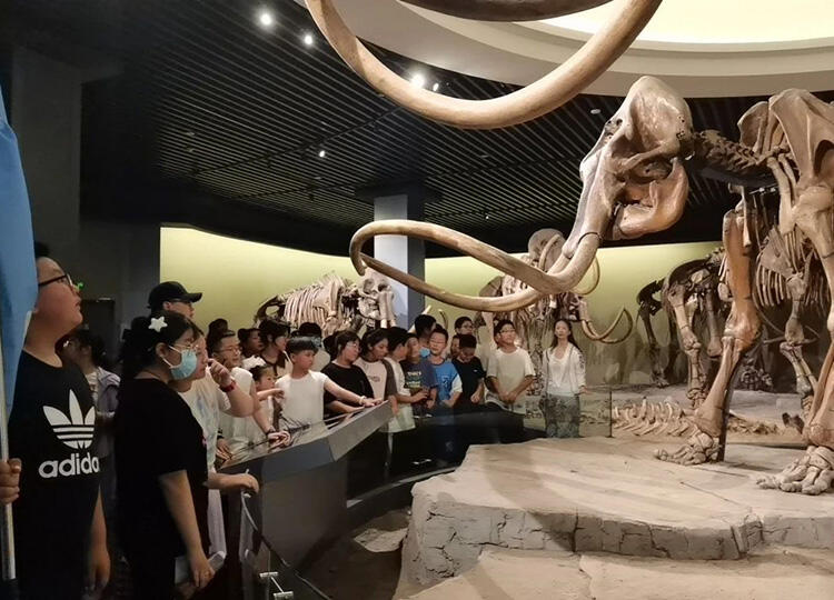 微信图片_20230818095242.jpg