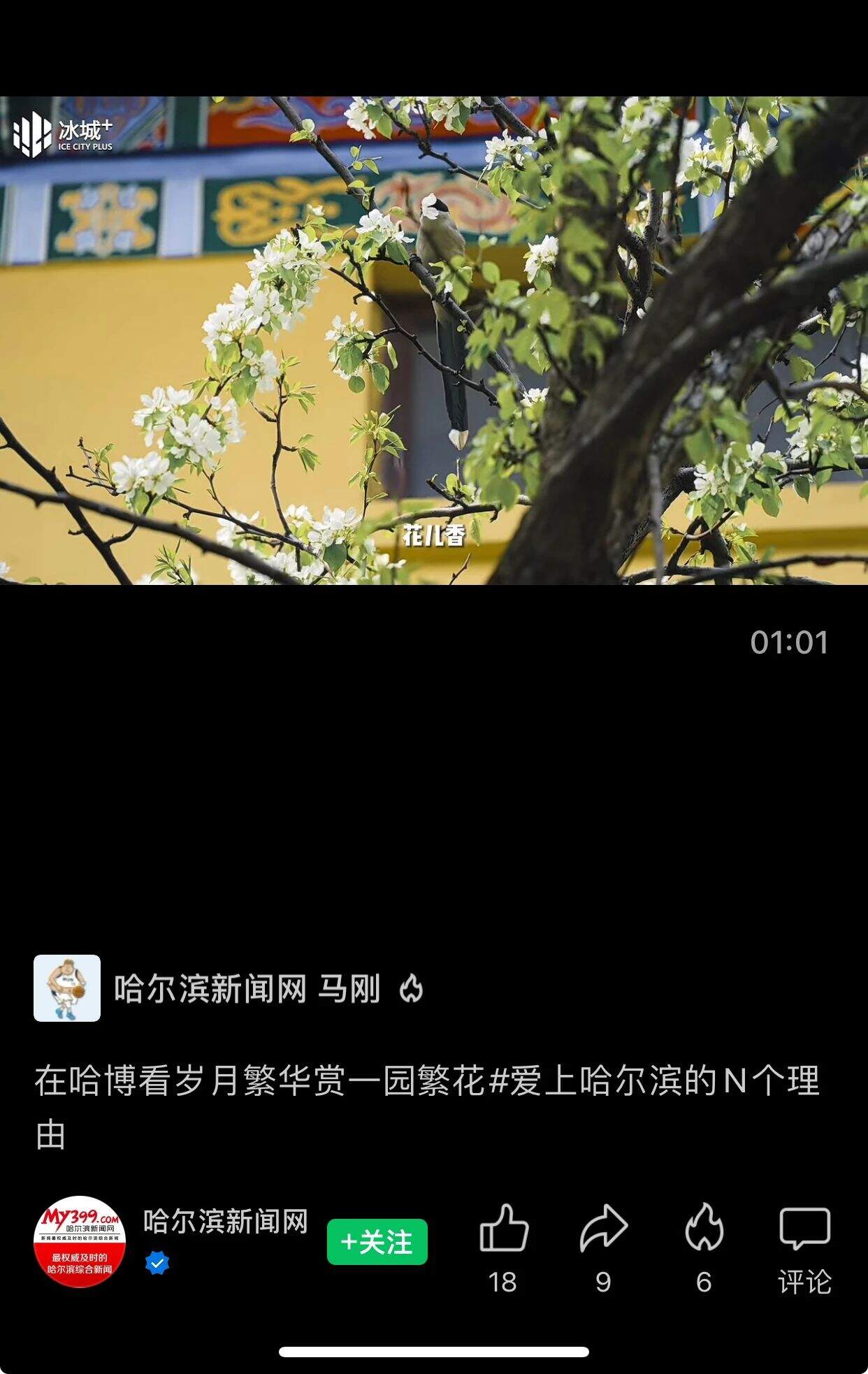 298932f87c3560e3f117a3674df463e3.jpeg