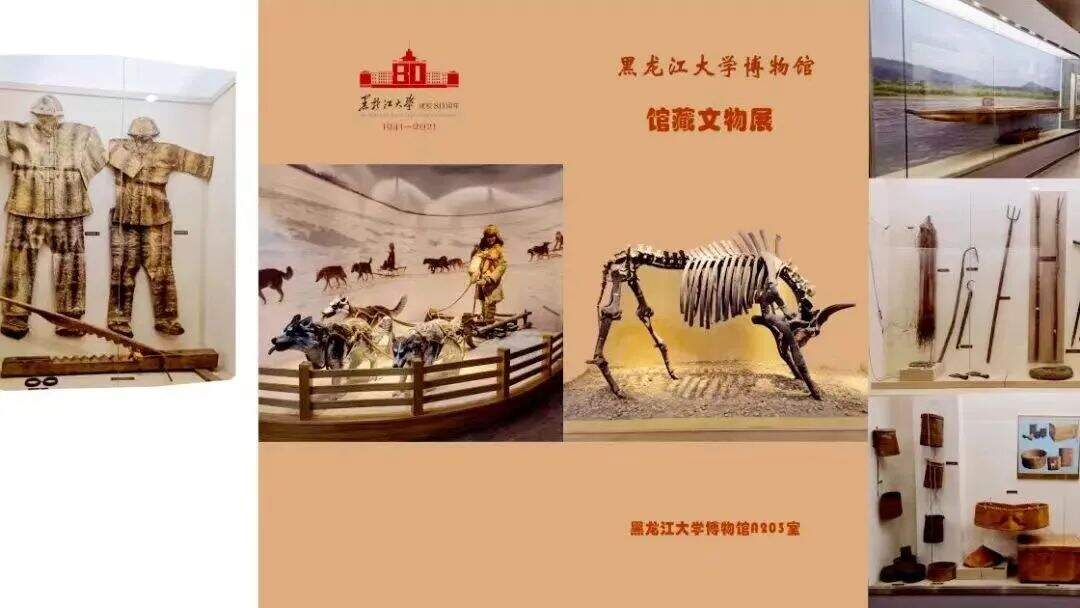 微信图片_20240516133356.jpg