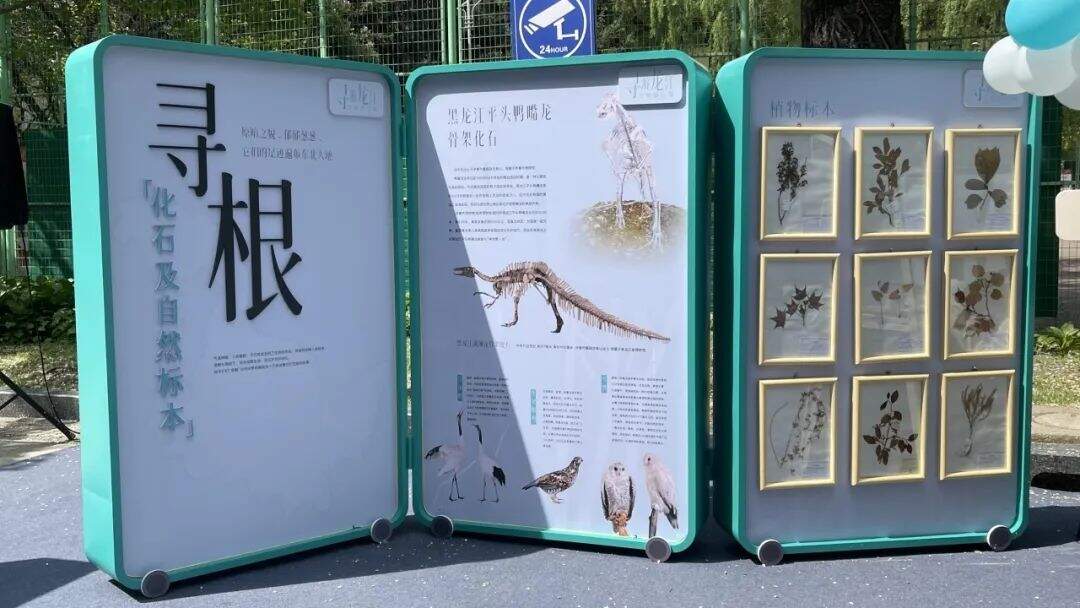 C2E81531B3ED5B3F16E4C69212CECBCB59AD4BB9_size106_w1080_h608.jpg