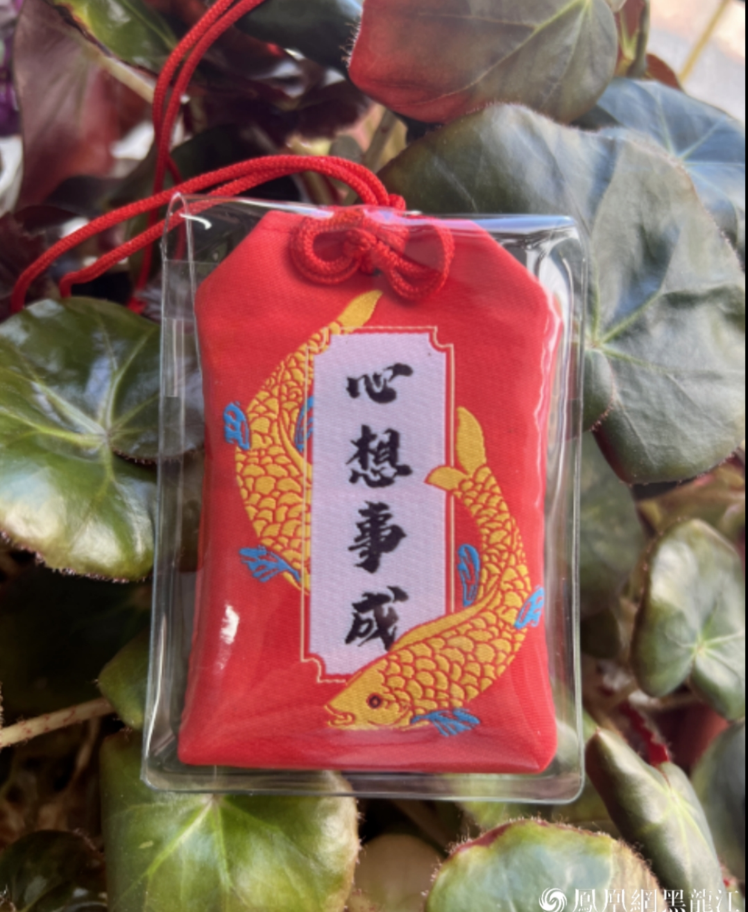 微信截图_20240914141059.png