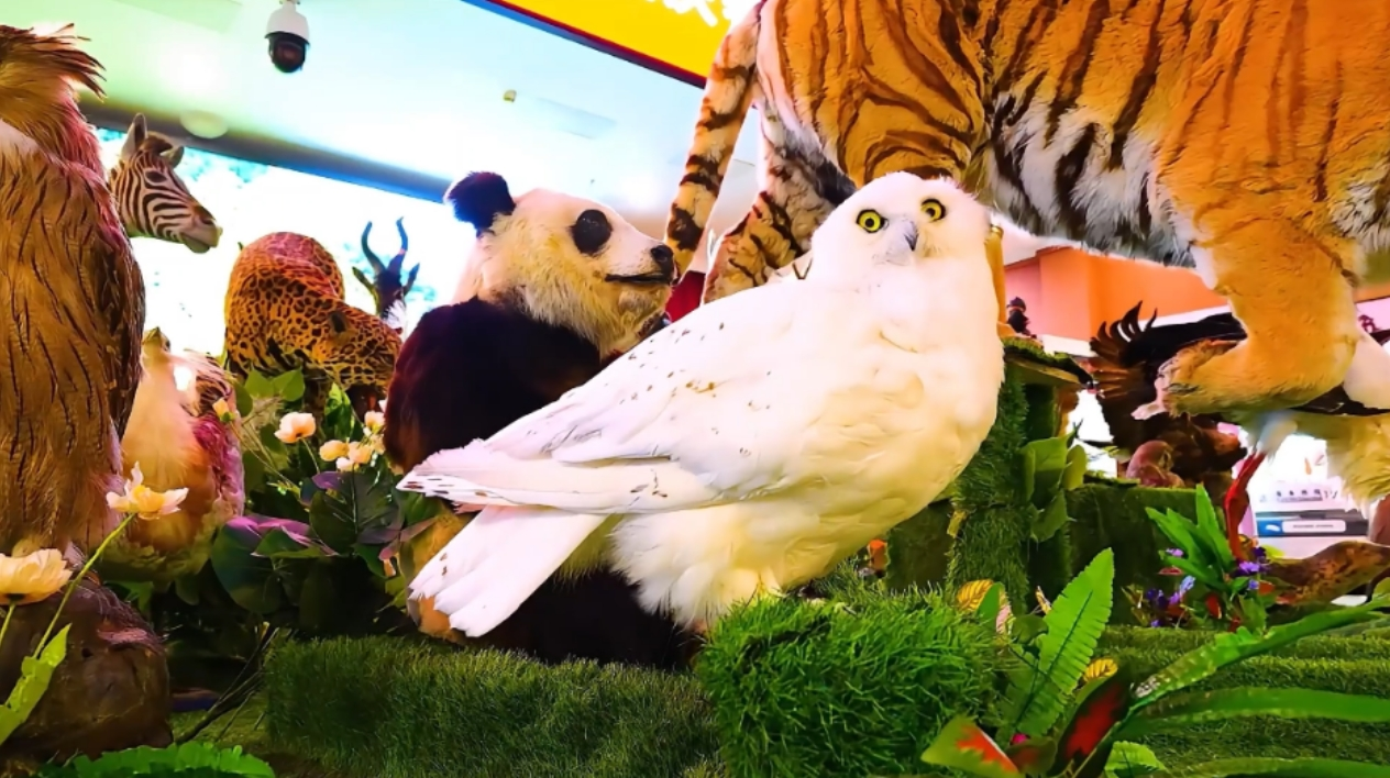 微信截图_20241016142310.png