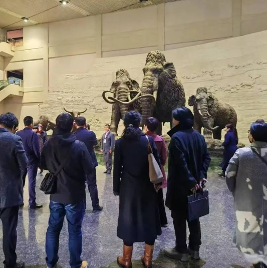 微信截图_20241023140533.png