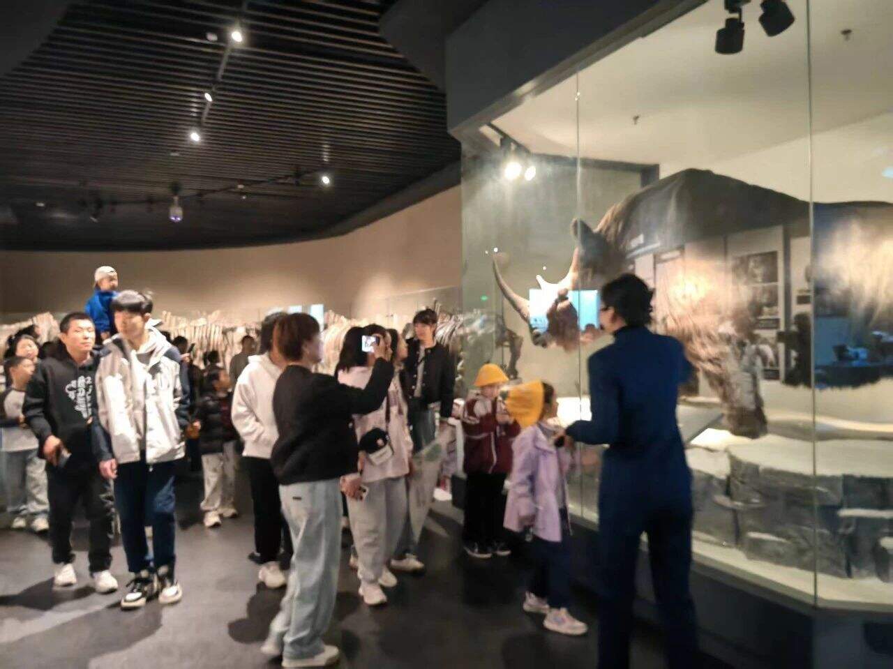 1f1a857fbebe8c3adfa6377e0dd5651f.jpg