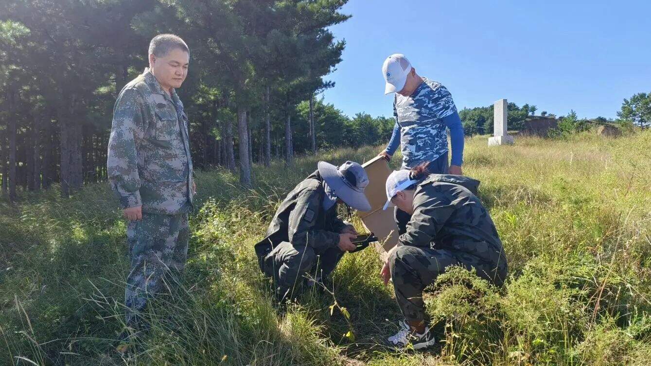 微信图片_20250611103706.jpg