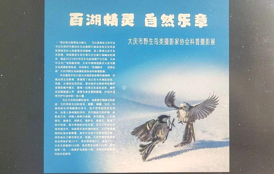 微信图片_20250611095853.jpg
