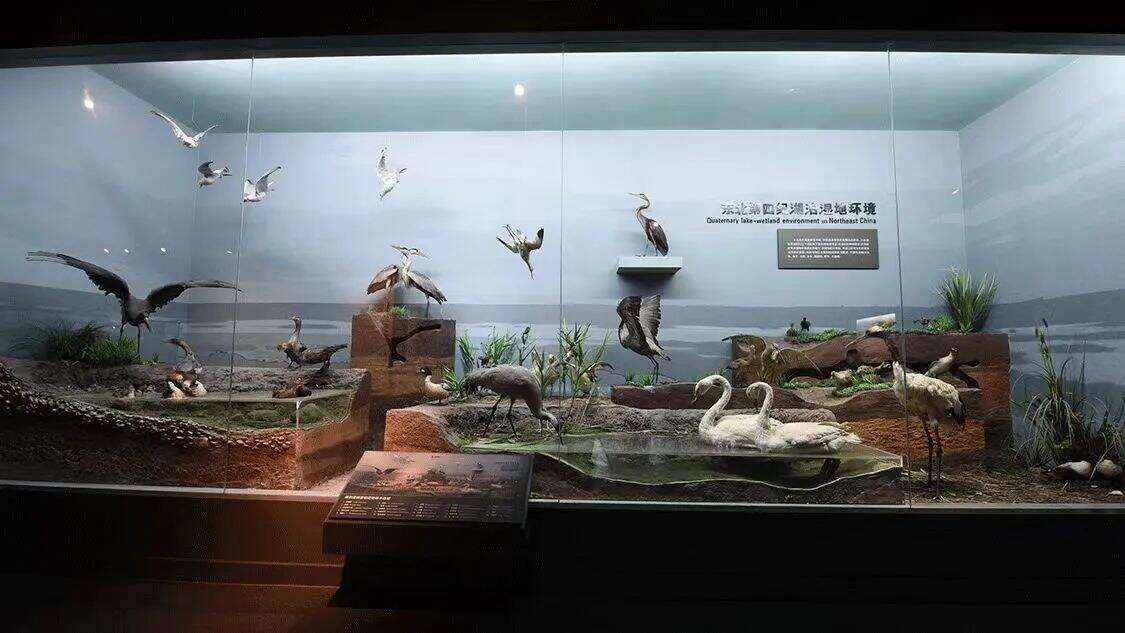 微信图片_20250611095906.jpg
