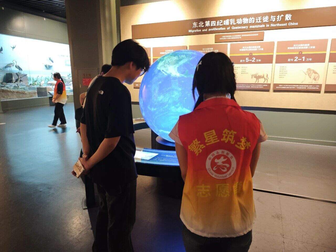 2cec9da4733c5ed535f39e80914e8792.jpg