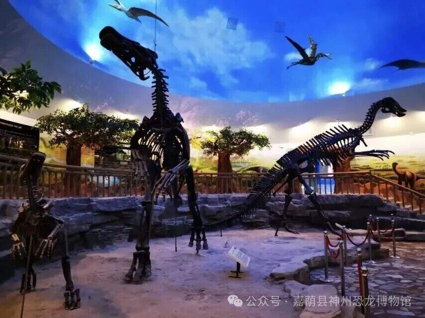 2e53c54cb644f15b3d36f3594c8c605b.jpg