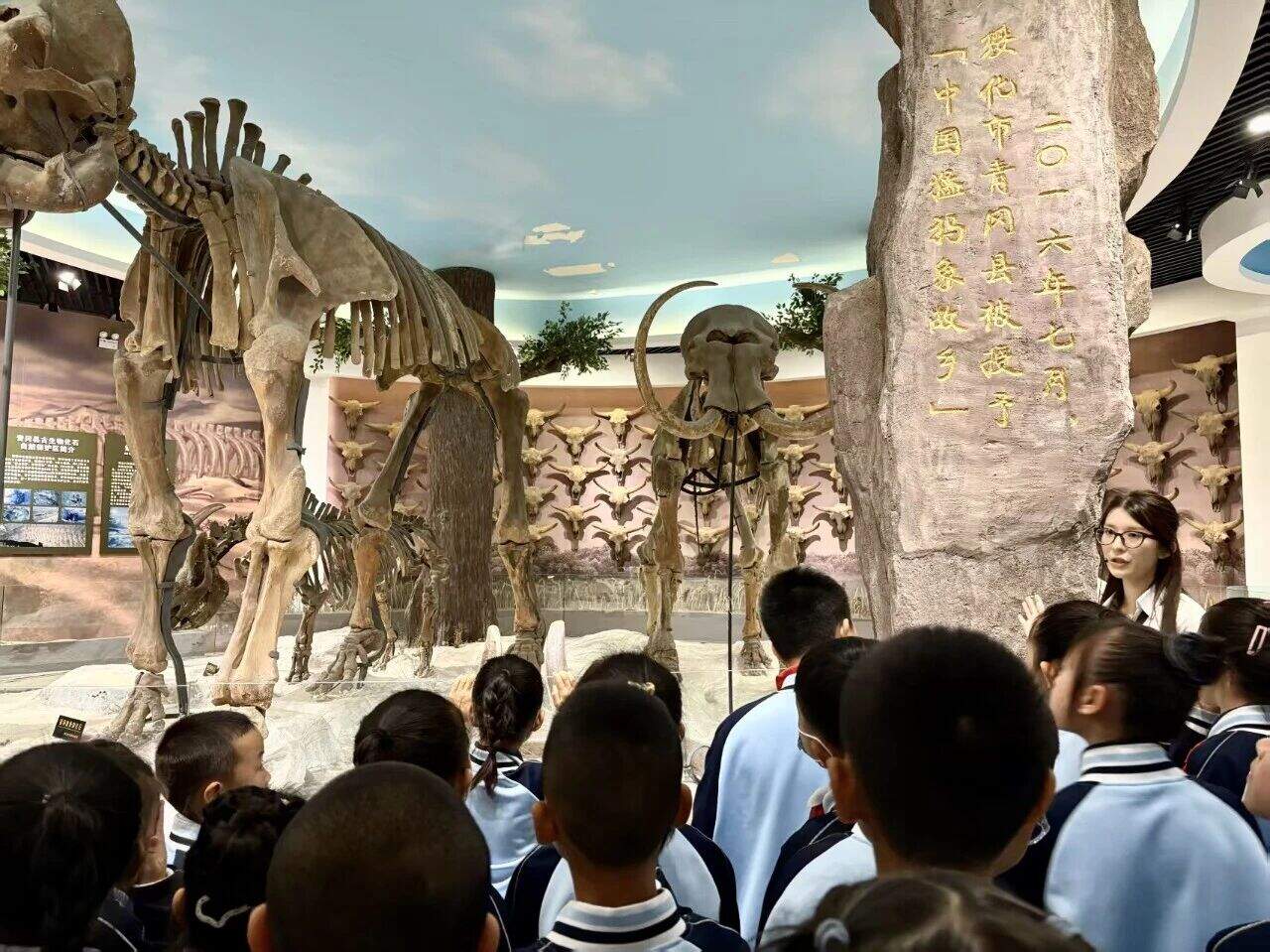 ea929c03edfe5739efecdcb77980736c.jpg