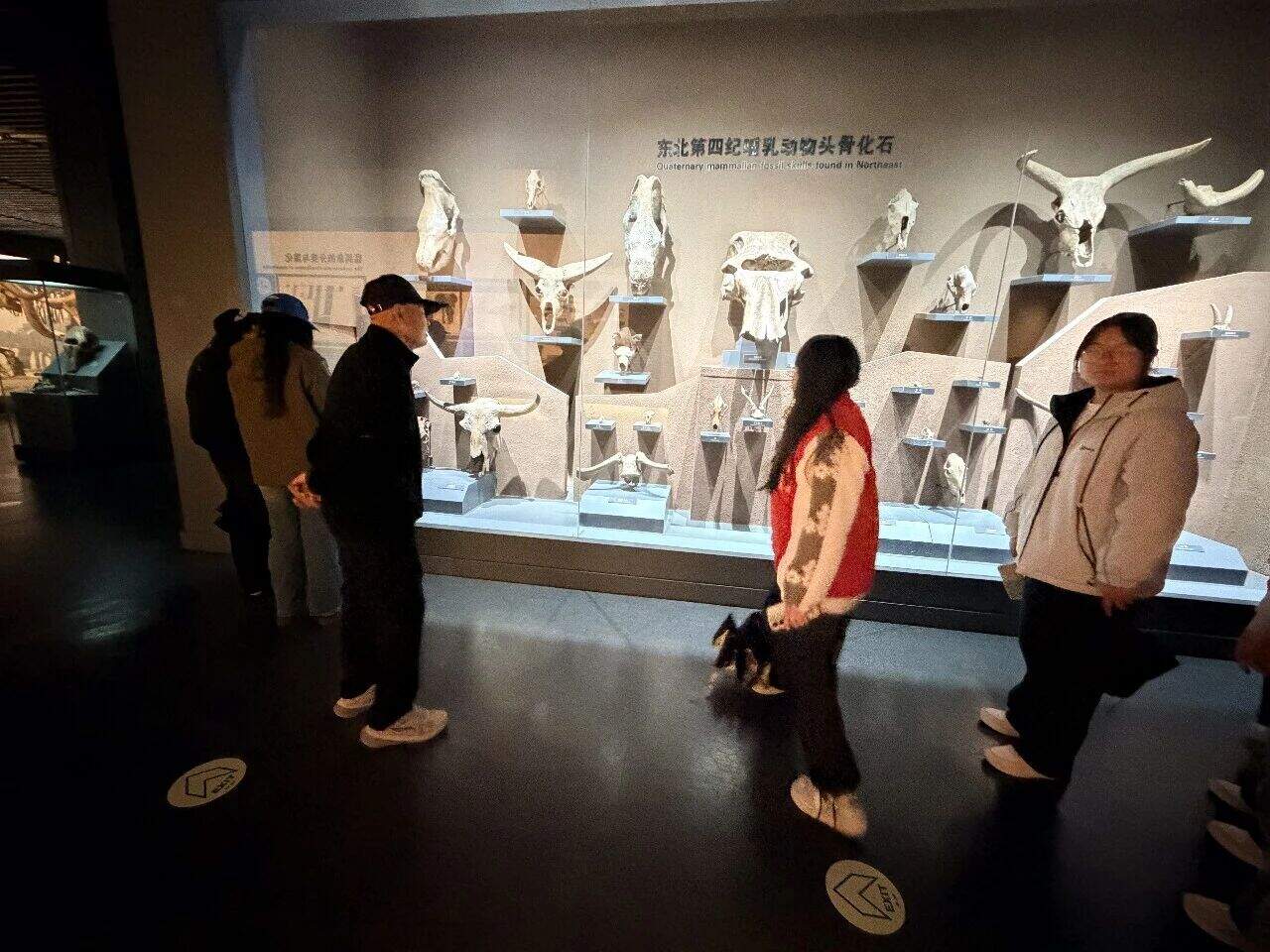 b68d11d22dc0ca47c2c6ee5eb1a84131.jpg